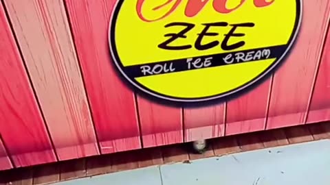 Going for ice cream in MR.Zee Ice cream|| Mr zee Ice sheikhupura