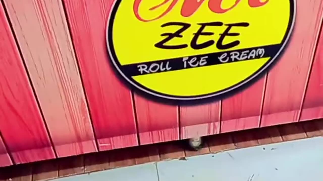Going for ice cream in MR.Zee Ice cream|| Mr zee Ice sheikhupura