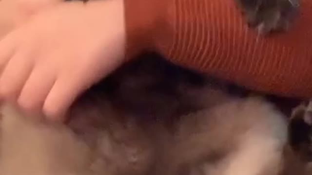 Oh well we tried 😍 funniest cat