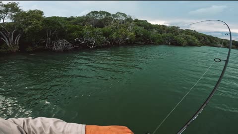 The audacity of these fish. #fishing #catchandrelease #lifestyle