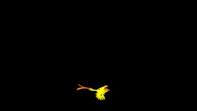 Bird flying in the dark sky animated