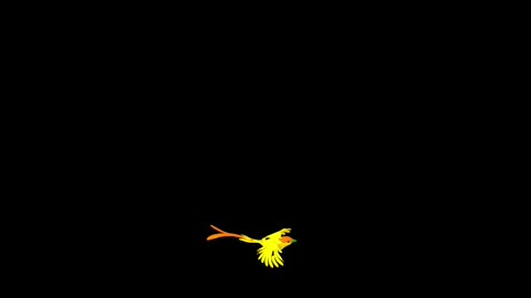 Bird flying in the dark sky animated