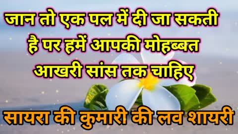 मेरे❤️दिल में तुम ने उतारा है अपने प्यार का खंजरबेस्ट रोमांटिक लव शायरी दिल को छू जाने वाली शायरी