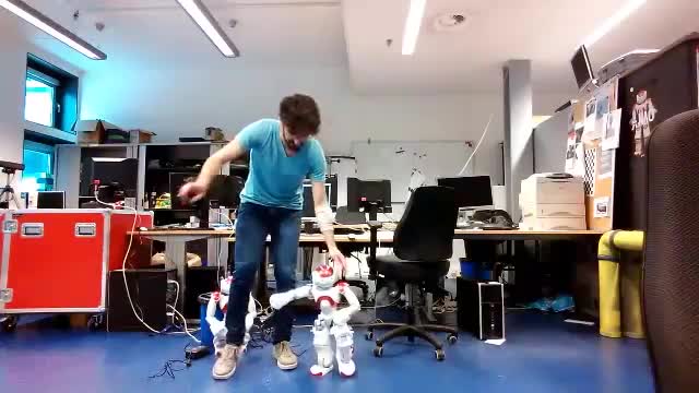 Persian Dance of Robots in the Netherlands