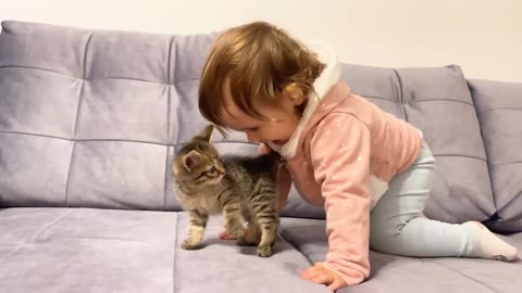 Funny cat video with kids