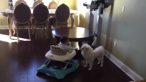 Funniest Baby Videos of the Week - Try Not To Laugh