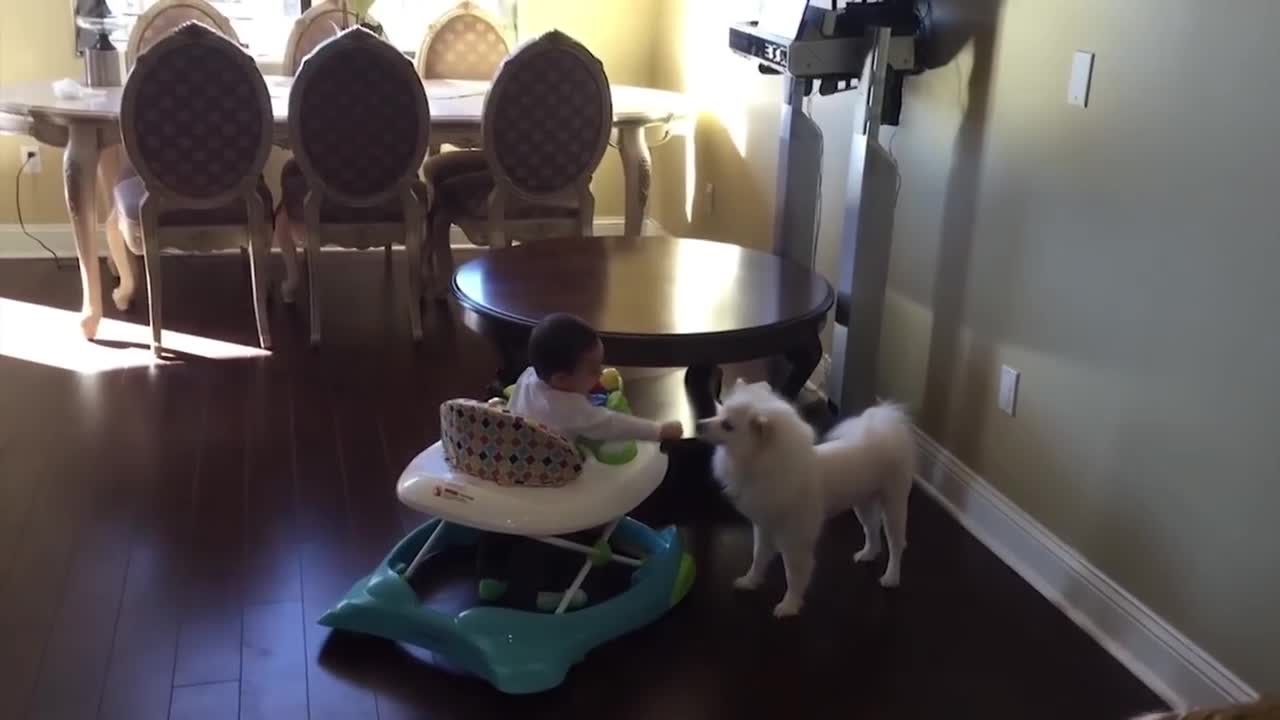 Funniest Baby Videos of the Week - Try Not To Laugh
