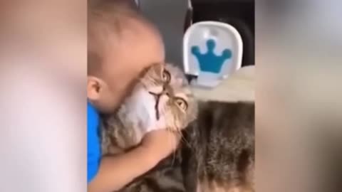 Kids Love Cat