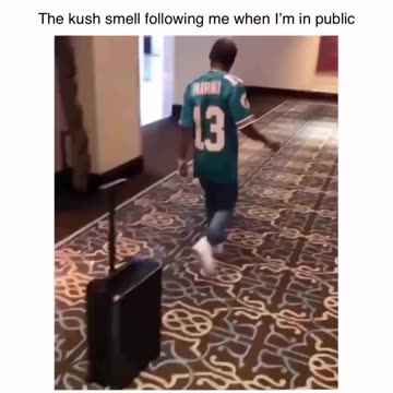 I need that suitcase 😂