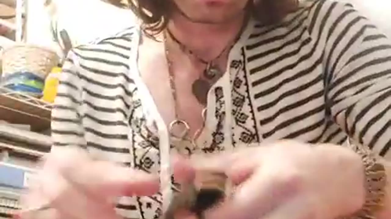 12 29 2023 vlog lomevision music and anecdotes about jaundis and more