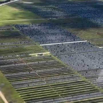 Texas Hailstorm Destroys Thousands of Solar Panels, Leaches Toxic Materials into Soil