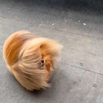 Having a bad hair day???? BAHAHAHA