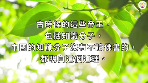 災難中的人性