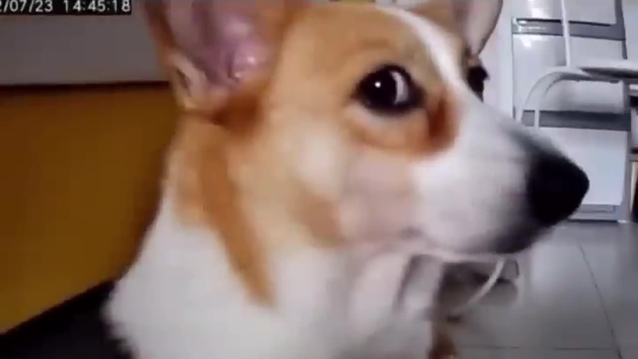 Memes that will make you lol part 1