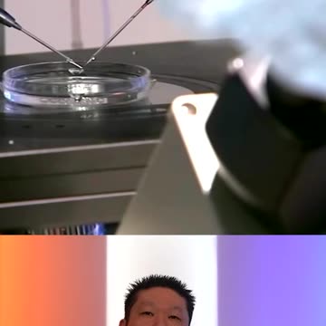 Fertility Clinic Using Already Dead Embryos