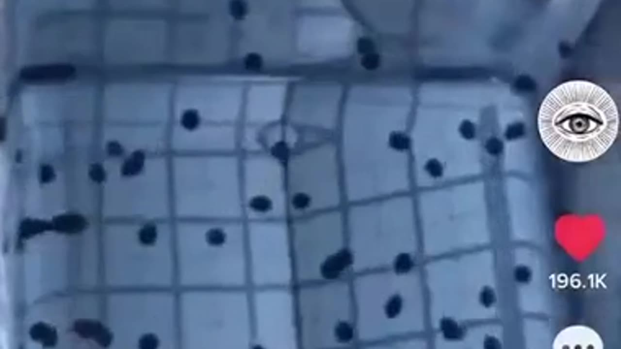 The future of medicine is frequency and vibration.