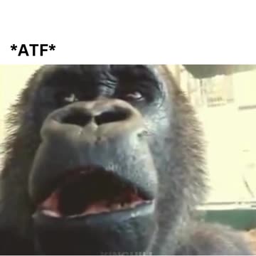 We’ve Seen an Increase in Bulldozer and Steel Plate Purchases