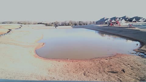 The Pond