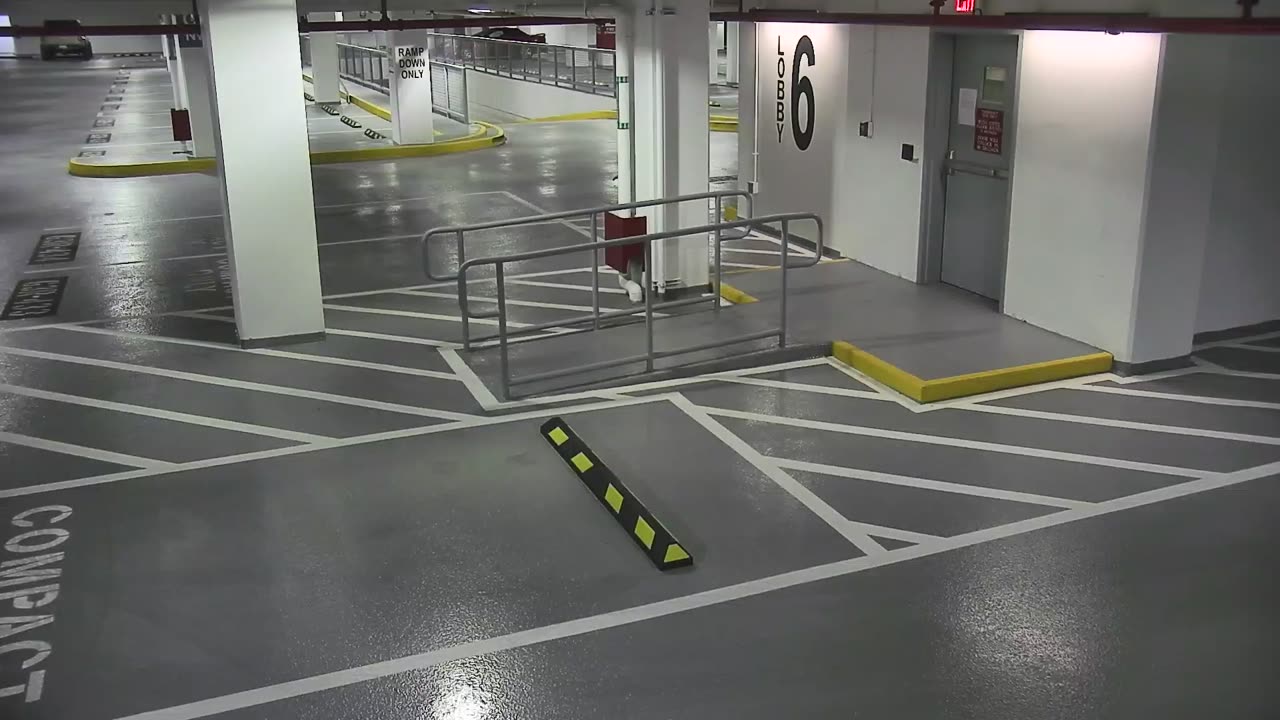 6082RHOBG3G306ANorthLobby_2021-01-05_02h20min00s167ms.mp4