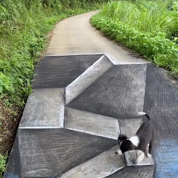 Dog reacting to 3D street art