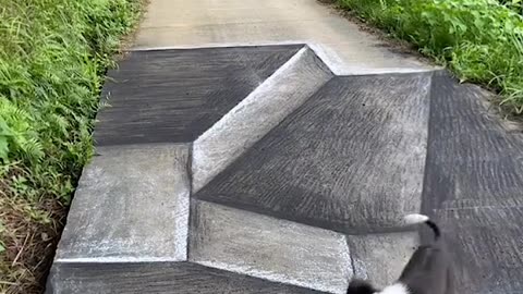 Dog reacting to 3D street art