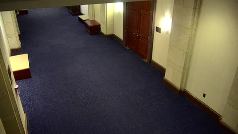 7042CVCLLHVC208Corridor_2021-01-05_00h20min00s280ms.mp4
