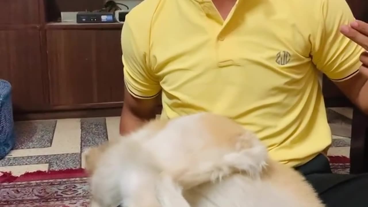 Just watch his actions / acting// noty dog / funnypetdog