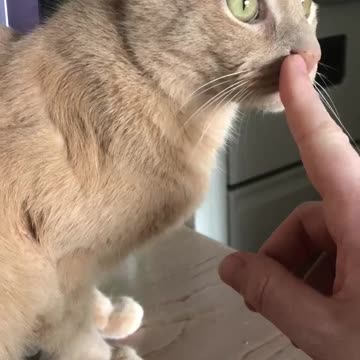 #FYP #ForYou #TikTokFYP #ForYouPage #Trending #Viral #ExplorePage #FYPシ