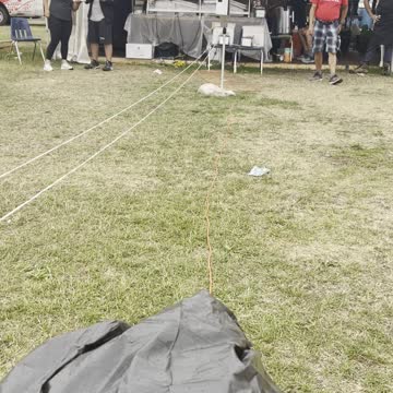 Beautiful songs affecting on bag