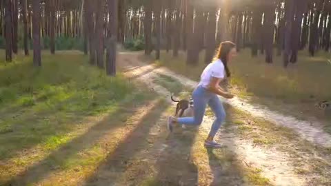 Funny dog and girl