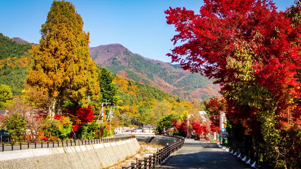 Mount Fuji Yamanashi, Japan in Autumn