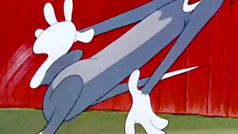 Tom and Jerry dangerous fight to Bird