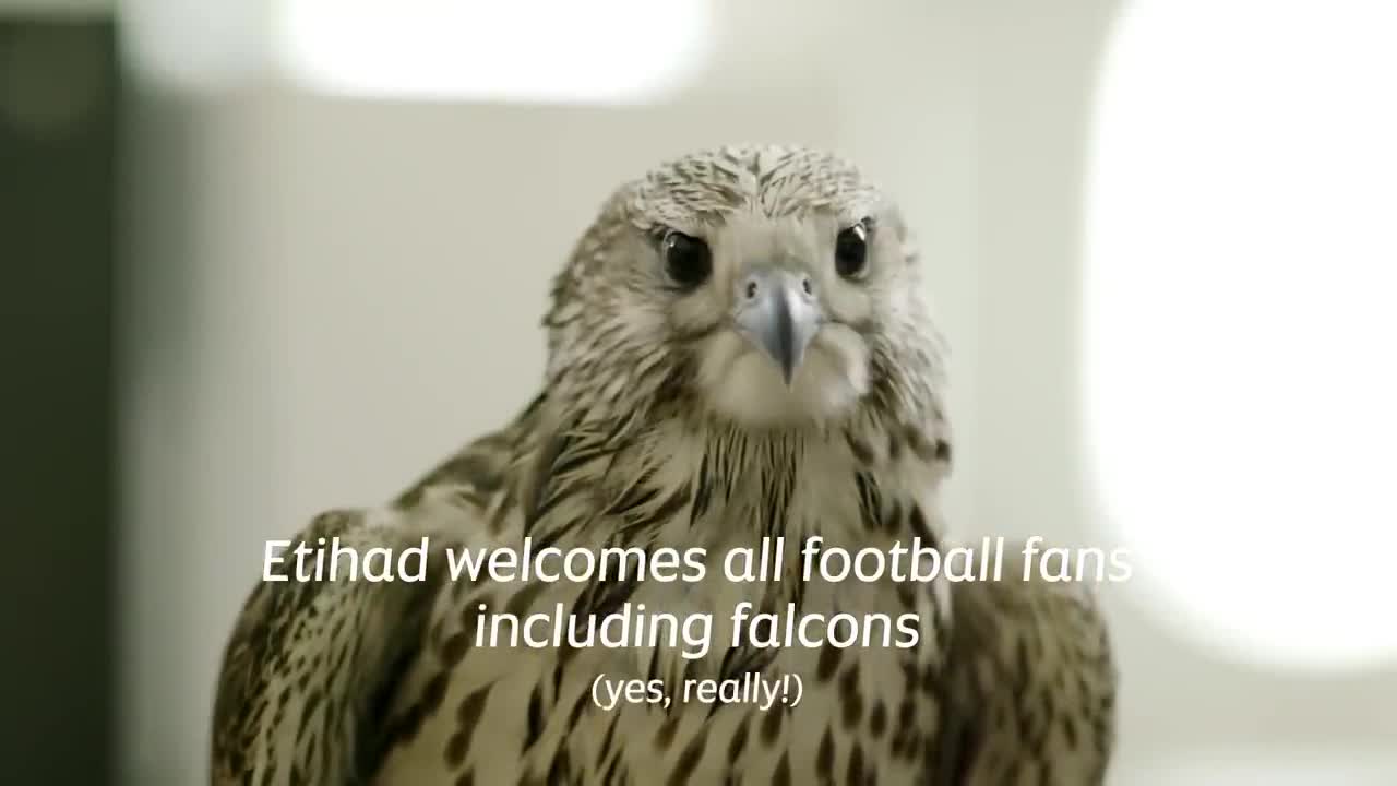 Expect extraordinary | Fly Etihad for the biggest football tournament of the year