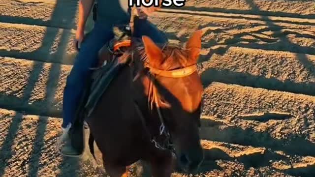 *my friend on a small*horse
