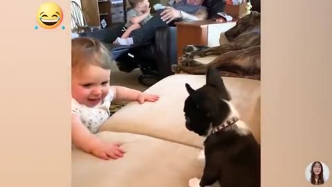 Funny Moments Of Baby And Dog