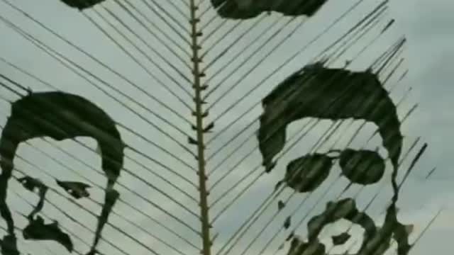 Artist Carves Portraits on Huge Leaves With Cutter