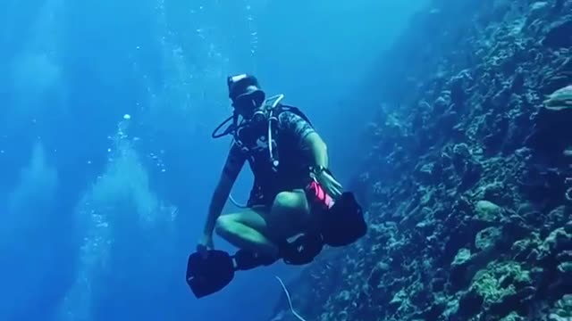 Gliding through the Big Blue
