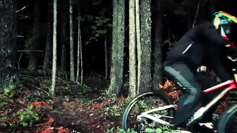 Amazing freeride in forest