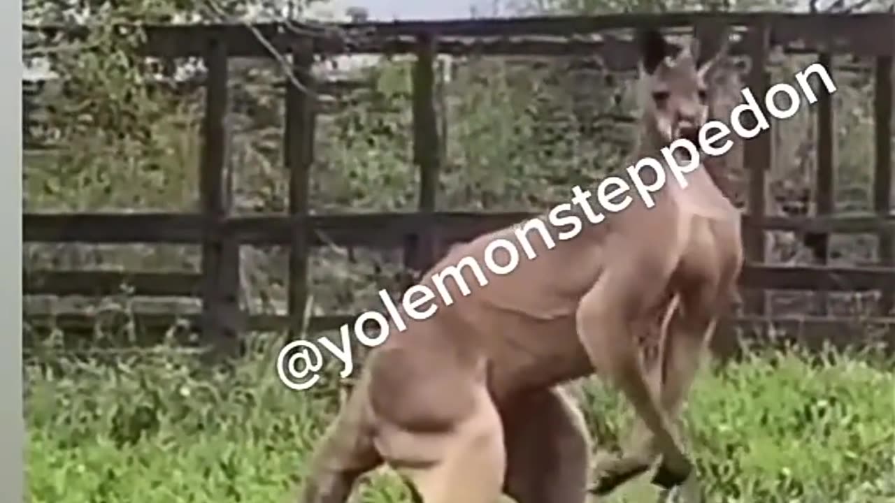 Wtf😂😂😂😂