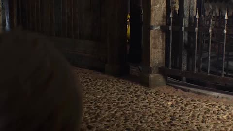 Cannon vs Giant Resident Evil 4 Remake