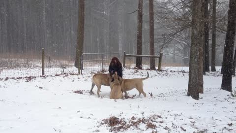 Snow in Georgia