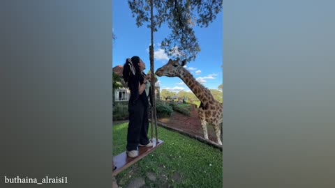 When Animals Are Always Excited To See His Human Best Friend