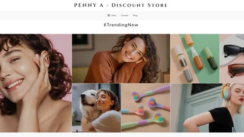 Penny A Discount Store