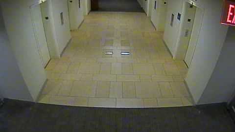 8427OHOB05MainElevatorLobby_2021-01-05_00h40min00s600ms.mp4