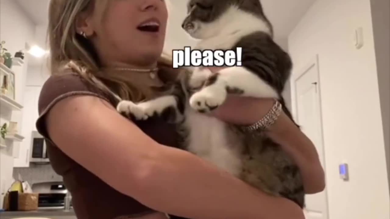 put me down right now Dora 😆😂🐈😂🤣