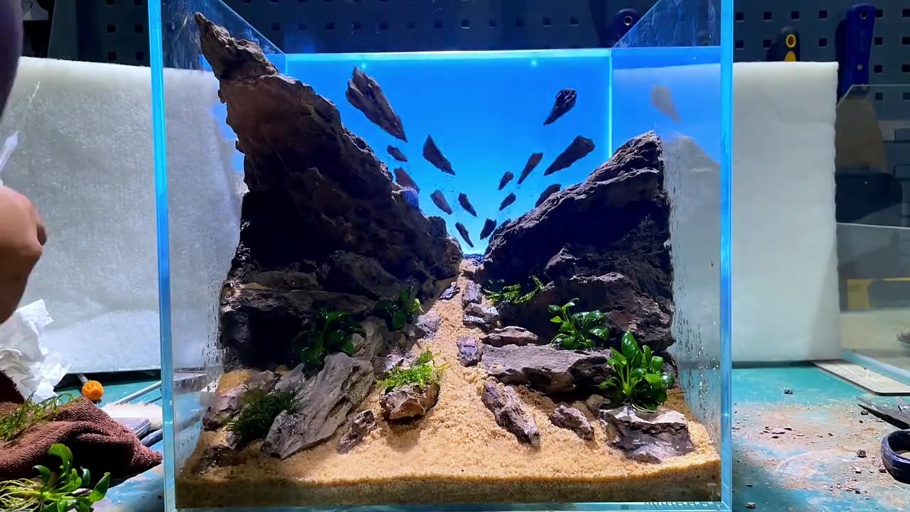 DIY-aquarium-design