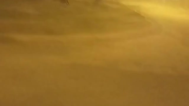 Mom, there's a dog chasing me