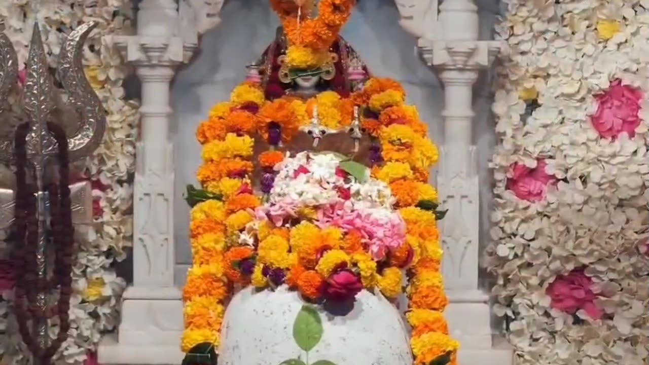 KRishna status