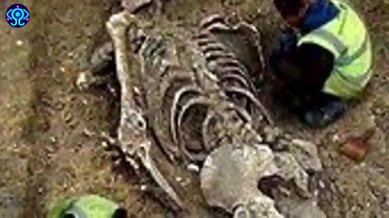 Giant skeletons taken away and disappeared