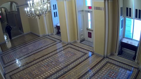 0102USCS01SenateWingDoornearS139_2021-01-06_12h37min59s560ms.mp4